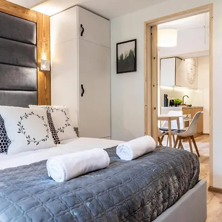 Udanypobyt Apartamenty Przy Dolinach C I D Koscielisko Exterior photo