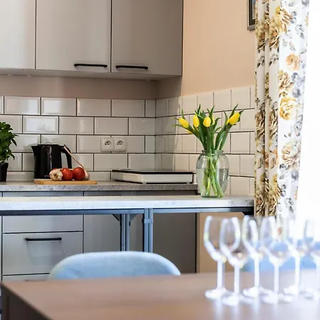Udanypobyt Apartamenty Przy Dolinach C I D Koscielisko Exterior photo
