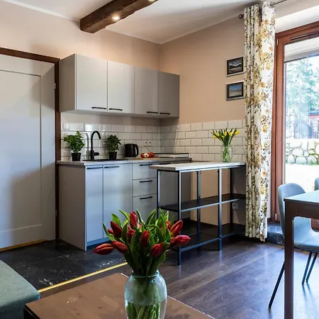 Udanypobyt Apartamenty Przy Dolinach C I D Koscielisko Exterior photo